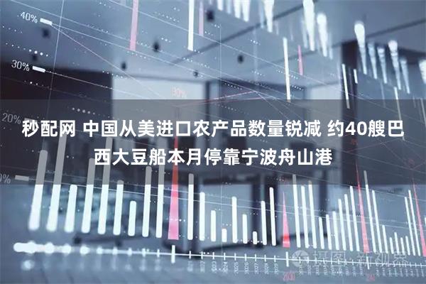 秒配网 中国从美进口农产品数量锐减 约40艘巴西大豆船本月停靠宁波舟山港