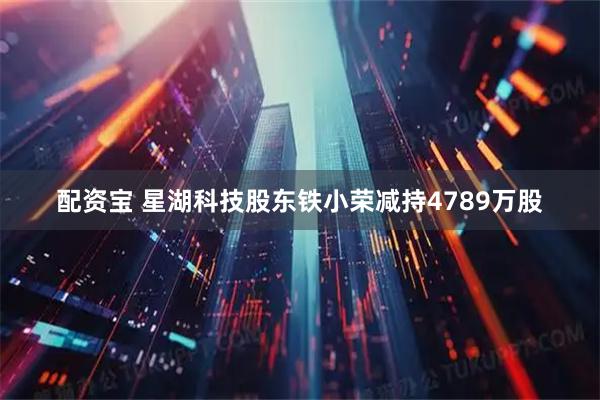 配资宝 星湖科技股东铁小荣减持4789万股