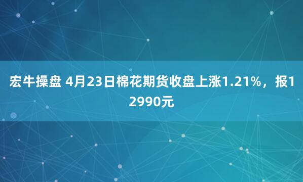 宏牛操盘 4月23日棉花期货收盘上涨1.21%，报12990元
