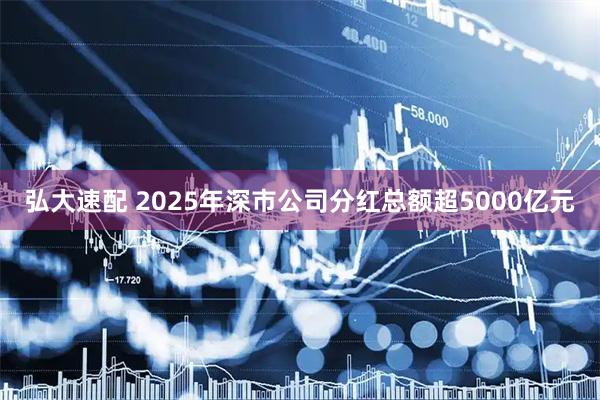 弘大速配 2025年深市公司分红总额超5000亿元