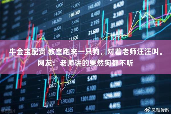 牛金宝配资 教室跑来一只狗,对着老师汪汪叫。网友:老师讲的果然狗都不听